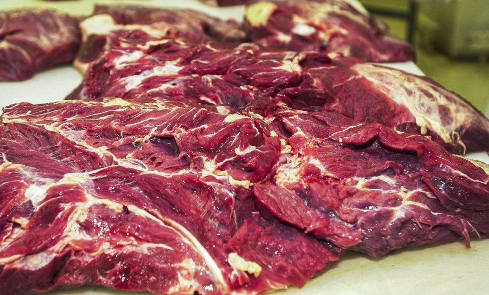 Carne fresca,Açougues, Frigoríficos, alimento