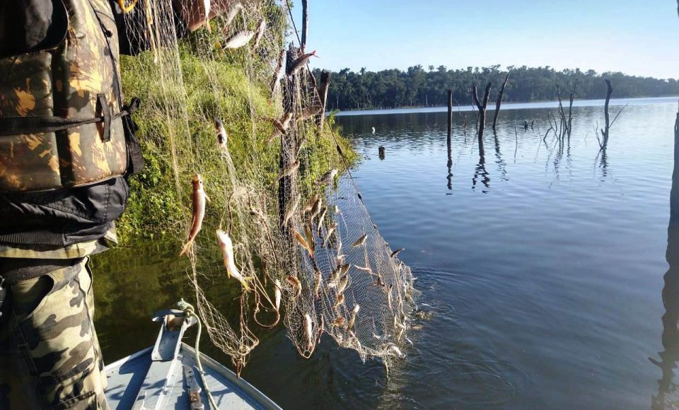 Batalhão Ambiental emite mais de 3,4 mil autuações e aplica mais de R$ 60,2 milhões em multas por crimes ambientais em 2021 - Curitiba, 20/01/2022