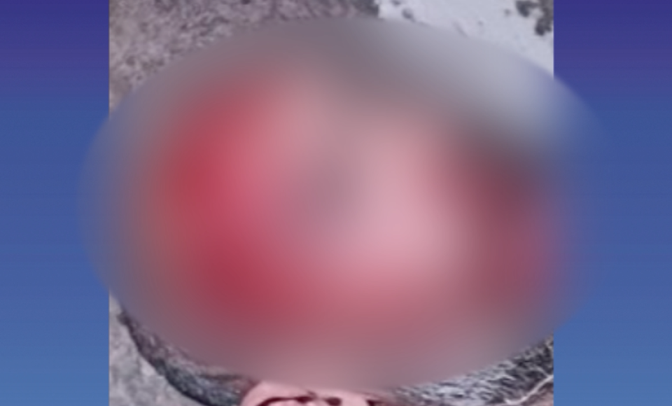 6514980786453d91b8b69a3.98217389