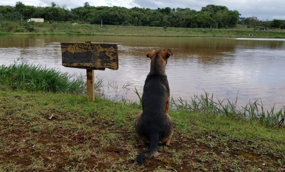Foto: Rafael Silvestrin