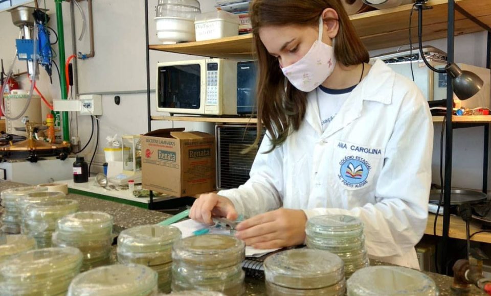 Acontece nos Estados Unidos a Regeneron ISEF 2021, maior feira internacional de Ciências e Engenharia, que este ano é realizada com participações virtuais devido à pandemia. Entre os cerca de 1,8 mil jovens participantes de 65 países e seus 1.480 projetos em 21 categorias, está Ana Carolina Gonçalves Selva, de 17 anos, estudante que se formou ano passado no Colégio Estadual Jardim Porto Alegre, em Toledo, no Oeste do estado. O evento começou no último domingo (16). -  Curitiba, 19/05/2021  -  Foto: SEED