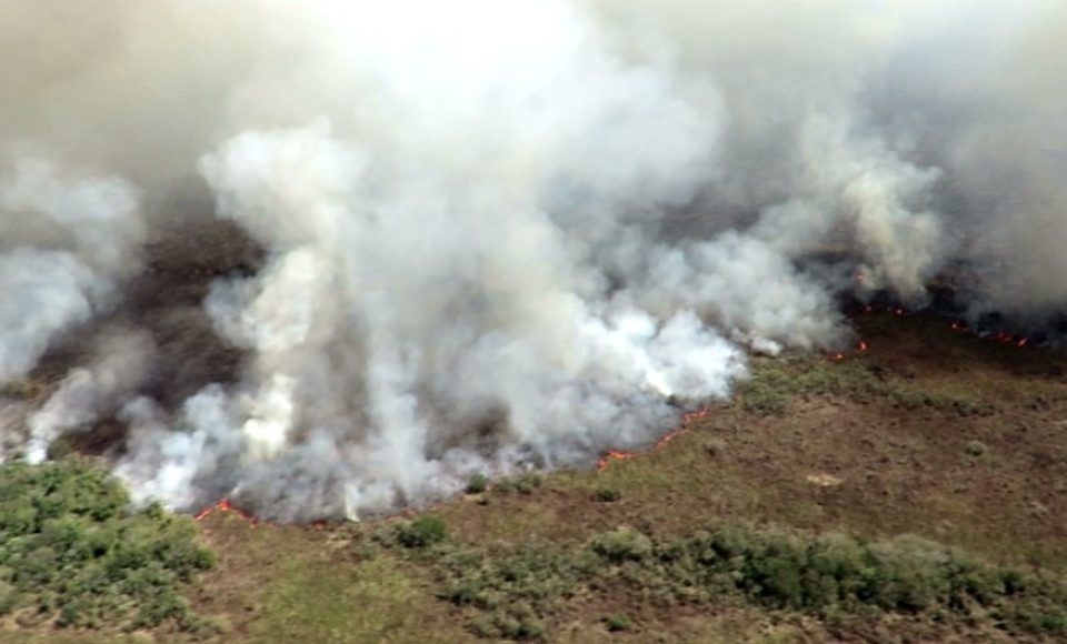 De acordo com a Defesa Civil, tempo seco e fortes ventos fazem com que o incêndio se espalhe rapidamente. — Foto: Divulgação/ICMBio