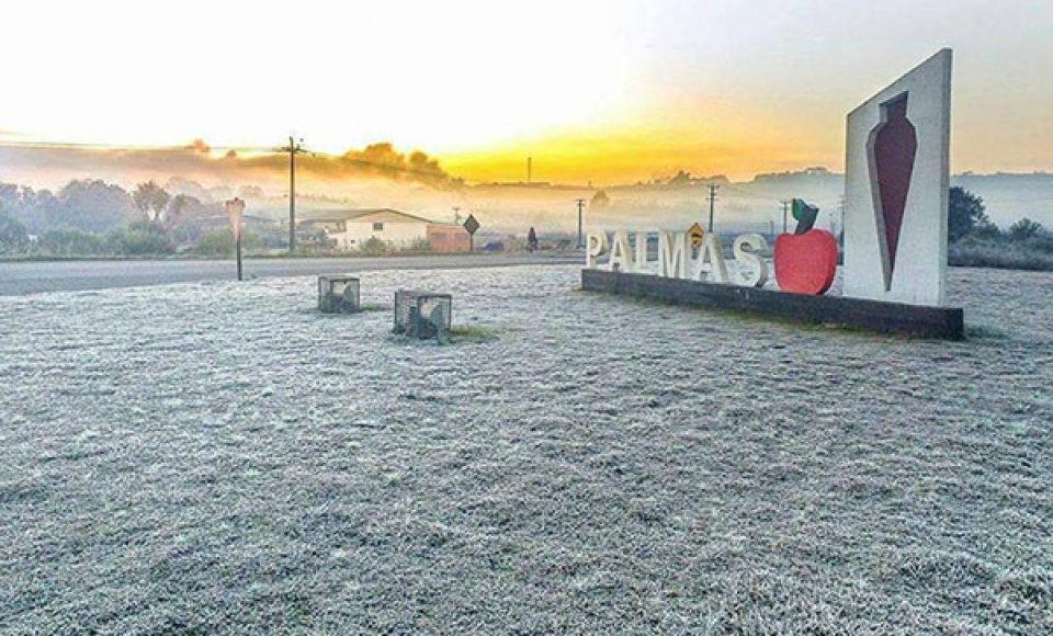 (Foto: Prefeitura de Palmas/Arquivo )