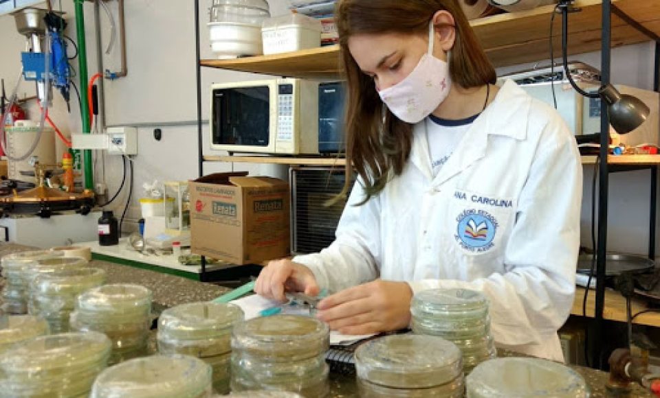 Acontece nos Estados Unidos a Regeneron ISEF 2021, maior feira internacional de Ciências e Engenharia, que este ano é realizada com participações virtuais devido à pandemia. Entre os cerca de 1,8 mil jovens participantes de 65 países e seus 1.480 projetos em 21 categorias, está Ana Carolina Gonçalves Selva, de 17 anos, estudante que se formou ano passado no Colégio Estadual Jardim Porto Alegre, em Toledo, no Oeste do estado. O evento começou no último domingo (16). -  Curitiba, 19/05/2021  -  Foto: SEED