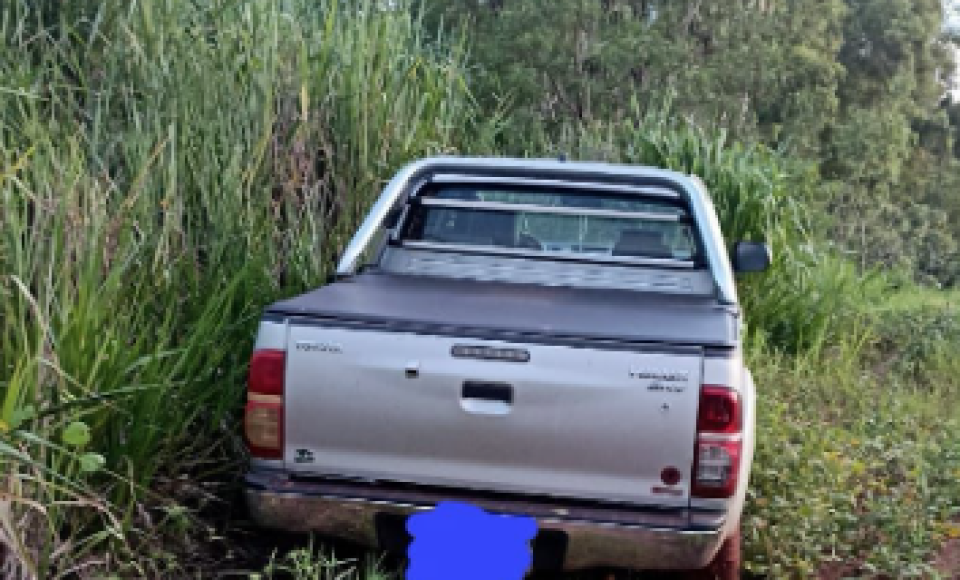 69737156163fcd7bac66175.09728203