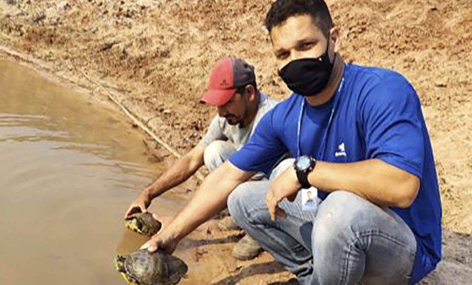 Tartarugas encontradas em estação de tratamento da Sanepar são soltas na natureza  -  Curitiba, 06/10/2021  -  Foto: Sanepar