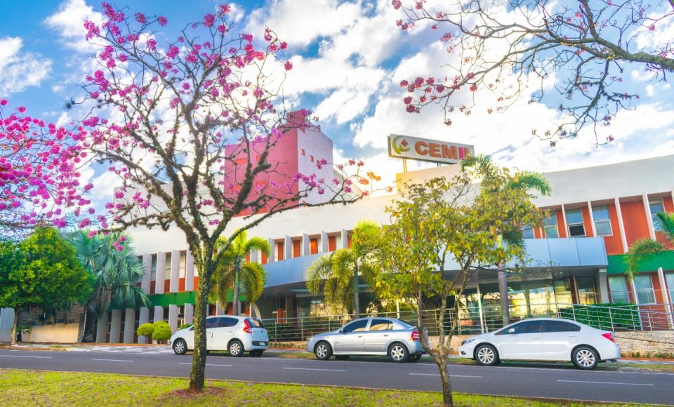 CRÉDITO DA FOTO - Asaff Saab de Souza