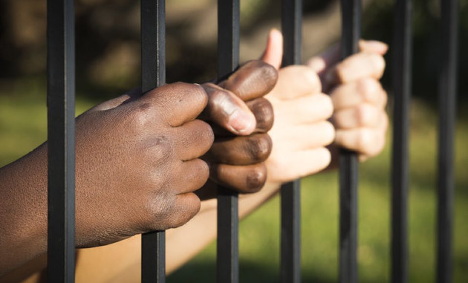 Child Hands on Fence
