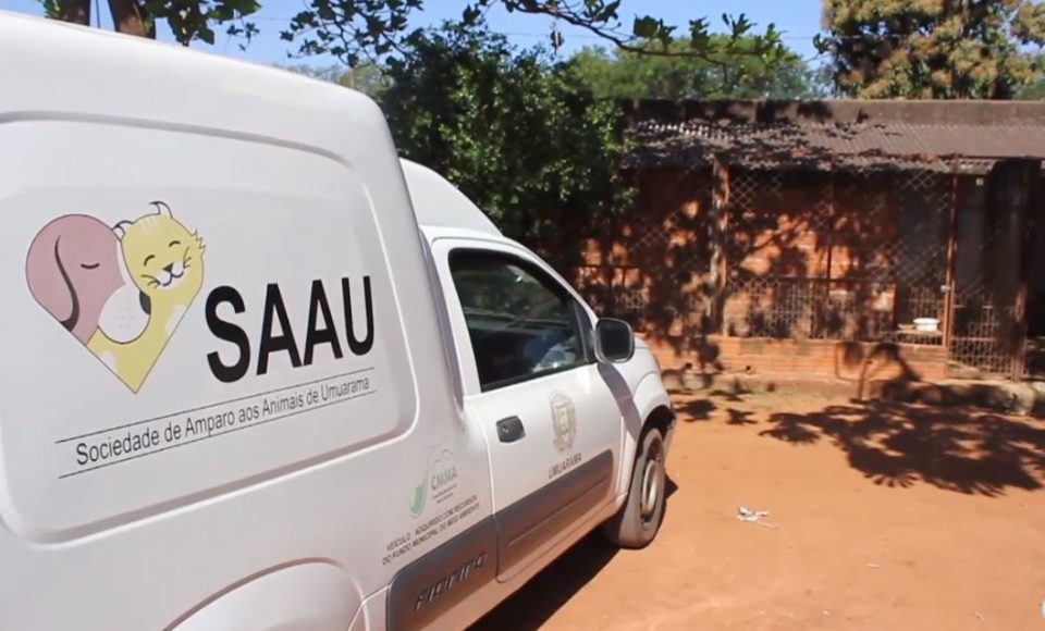 Foto: Rede TV Mais/Saau