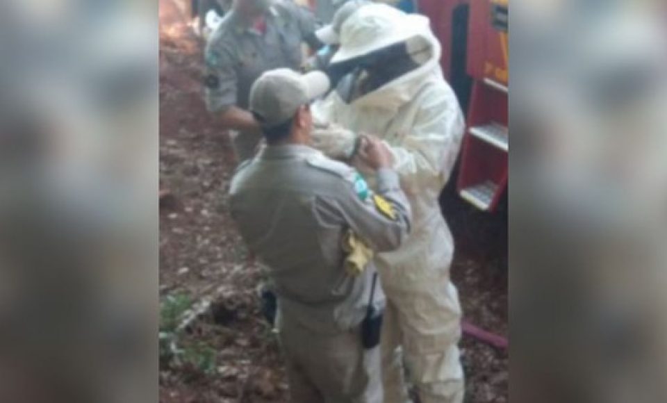 Os bombeiros tiveram que utilizar roupas protetoras para se aproximar do corpo
