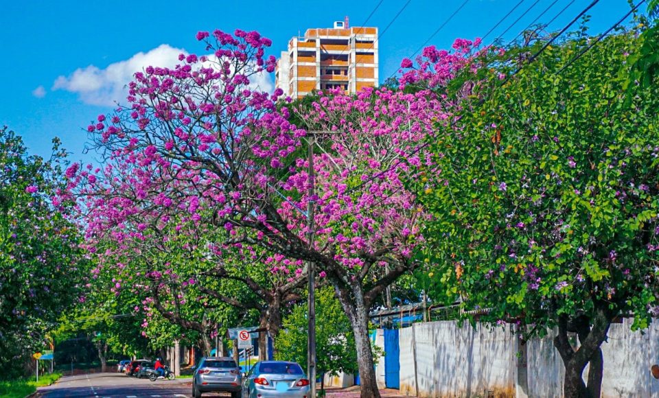 Foto: Mayara Cristina