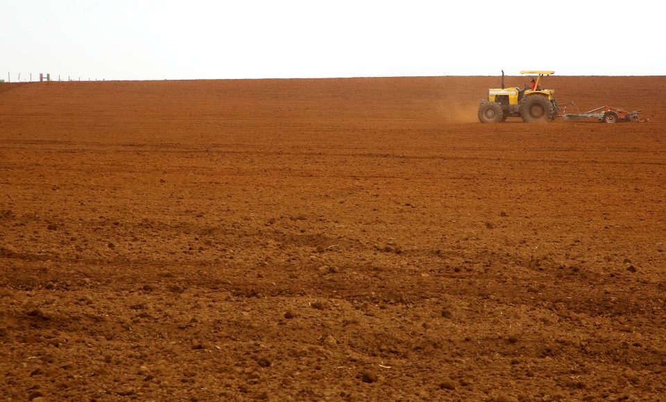 Preparo de terra. Pinhão, 12/09/2019 Foto:Jaelson Lucas / AEN