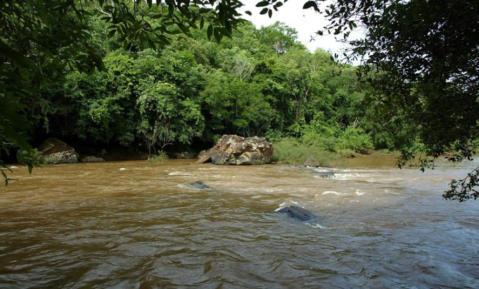 Rio Piquiri  -  Foto: Dênis Ferreira Netto