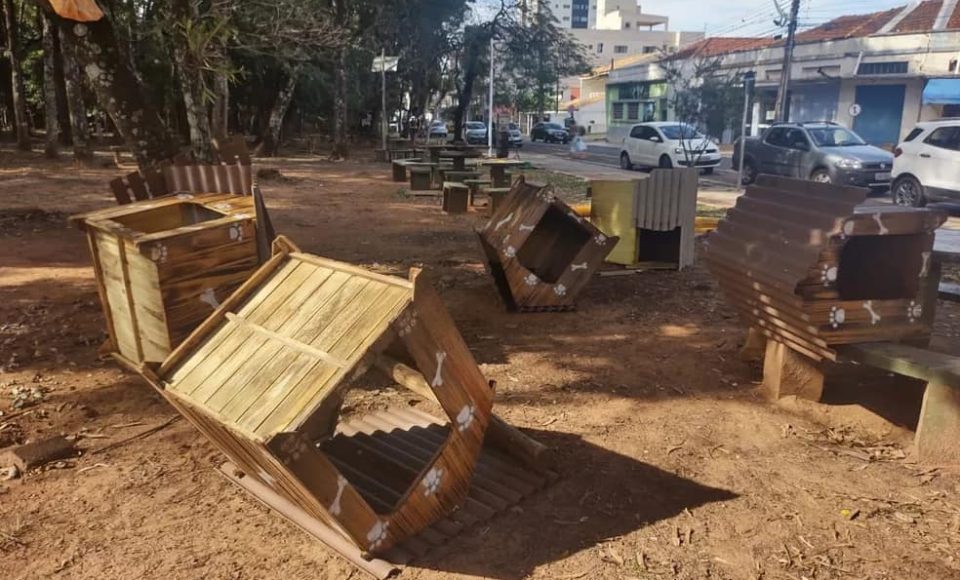 ONG pede ajuda para arrumar os abrigos — Foto: ONG Cão Paixão