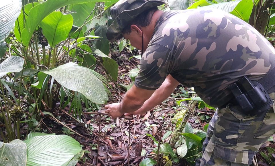 Proteção da fauna paranaense é intensificada com fiscalizações e autuações do Batalhão de Polícia Ambiental no Paraná -  Curitiba, 21/03/2022