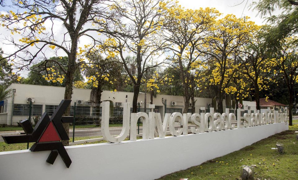 Universidade Estadual de Maringá (UEM) -  Foto: UEM