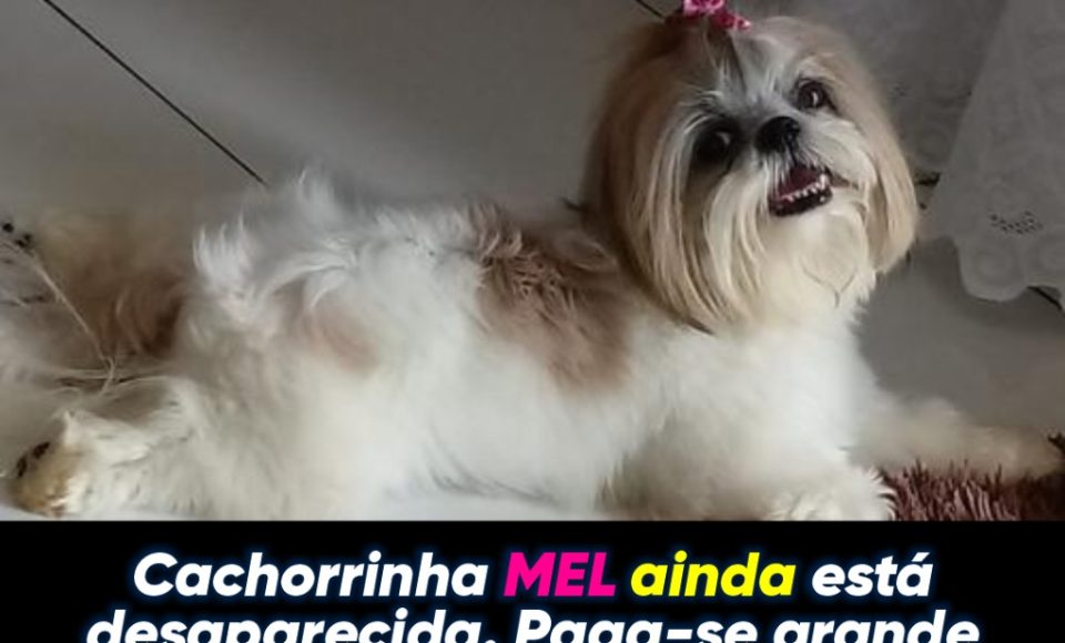 990887478636a414164db95.61800143