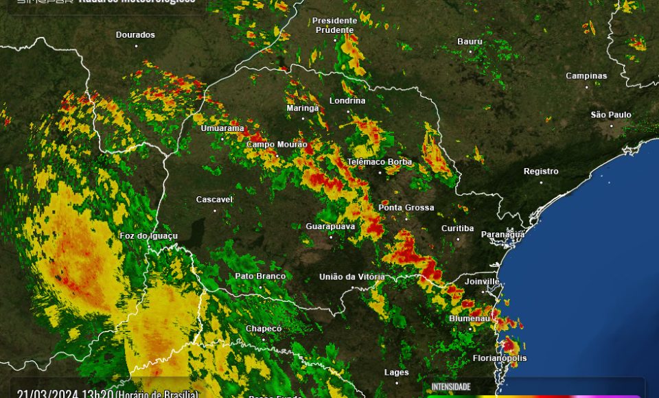 IMG-20240321-WA0282