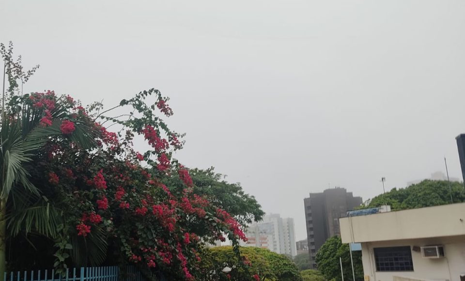 WhatsApp Image 2024-05-27 at 07.49.49