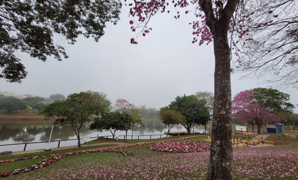 Foto: Mayara Cristina