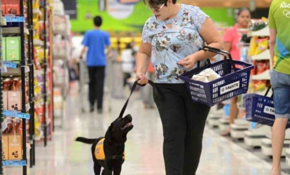 animais