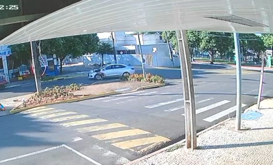 atropelado ipora