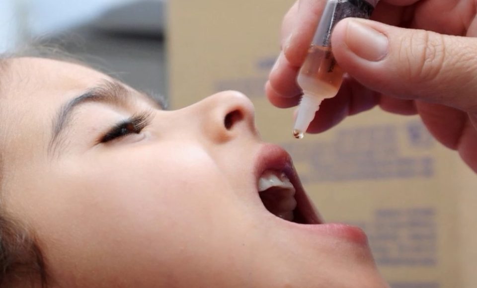 dia d polio