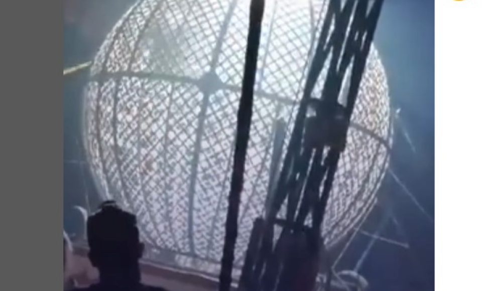 globo