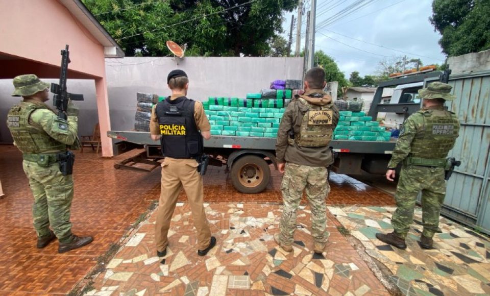 maconha parana